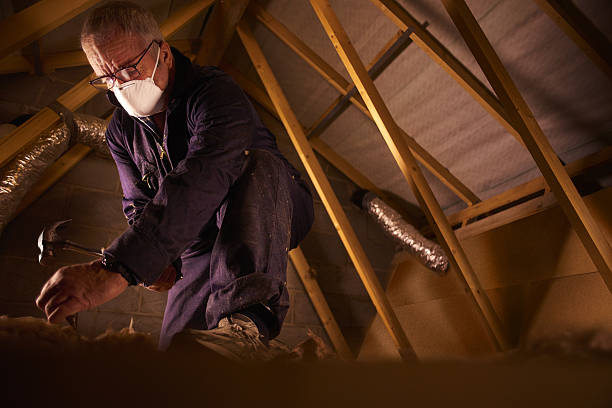 Professional Insulation Contractor in Calhoun, GA